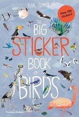 The Big Sticker Book of Birds hind ja info | Lasteraamatud | kaup24.ee