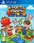 Harvest Moon Mad Dash PS4 hind ja info | Arvutimängud, konsoolimängud | kaup24.ee