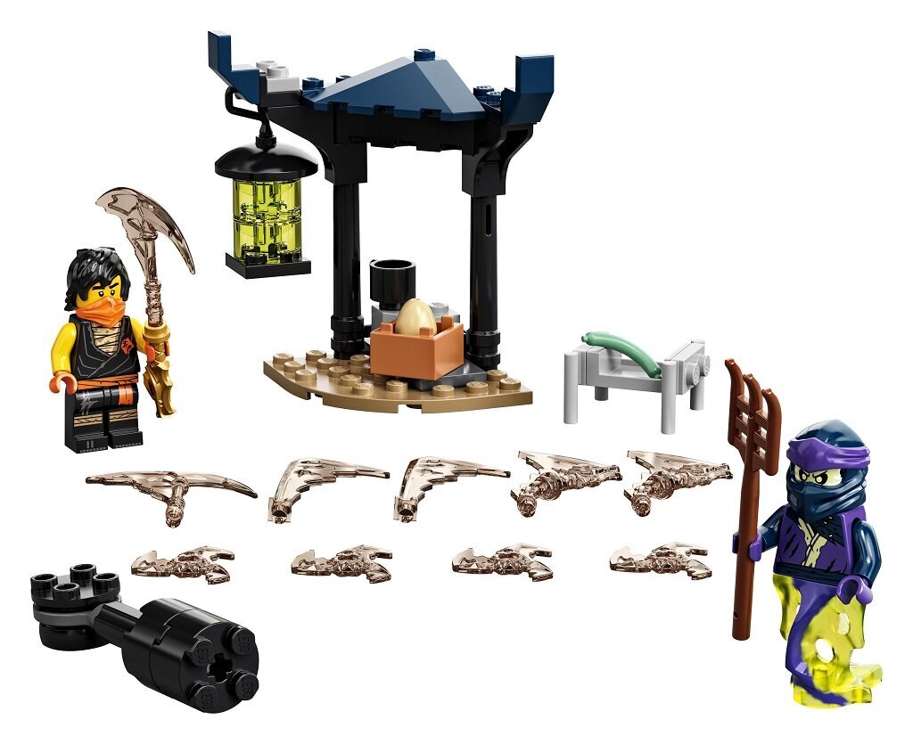 71733 LEGO® NINJAGO Cole vs kummitussõdalane hind ja info | Klotsid ja konstruktorid | kaup24.ee