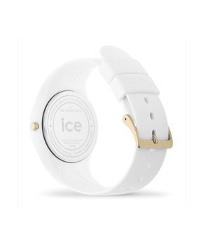 Käekell Ice Watch, valge hind ja info | Naiste käekellad | kaup24.ee