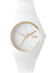 Часы Ice Watch 000917 цена и информация | Женские часы | kaup24.ee