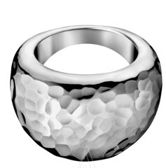 Sõrmus Calvin Klein, hõbedane hind ja info | Sõrmused | kaup24.ee