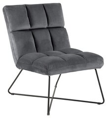Обеденный стул Alba, темно-серый цена и информация | Стулья для кухни и столовой | kaup24.ee