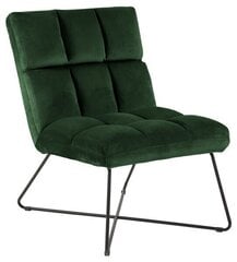 Обеденный стул Alba, зеленый цена и информация | Стулья для кухни и столовой | kaup24.ee