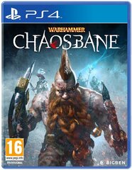 PlayStation 4 Mäng Warhammer: Chaosbane цена и информация | Компьютерные игры | kaup24.ee