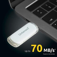 Intenso Memory 128GB USB 3.1 цена и информация | USB накопители | kaup24.ee