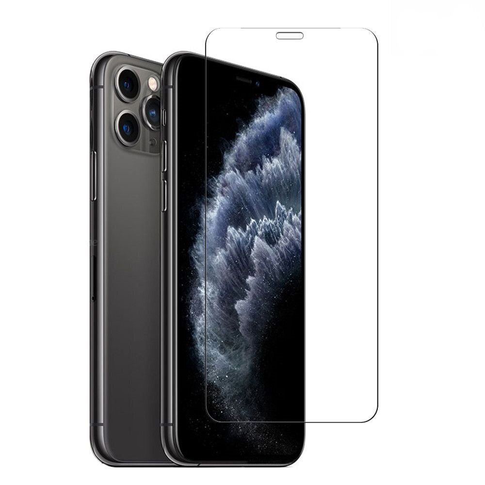 Karastatud klaasist ekraanikaitse Apple iPhone 11 Hallo цена и информация | Ekraani kaitsekiled | kaup24.ee