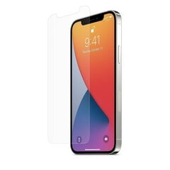 Hallo Tempered Glass Защитное стекло Apple iPhone 12 Pro Max цена и информация | Защитные пленки для телефонов | kaup24.ee