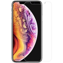 Hallo Tempered Glass Защитное стекло для экрана Apple iPhone X / XS цена и информация | Защитные пленки для телефонов | kaup24.ee