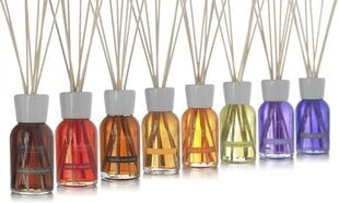 Lõhnapulgad Millefiori Natural Fragrance White Musk 250 ml цена и информация | Ароматы для дома | kaup24.ee