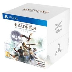 Pillars of Eternity II Deadfire ED PS4 цена и информация | Компьютерные игры | kaup24.ee