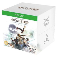 Pillars of Eternity II Deadfire ED XboxOne hind ja info | Arvutimängud, konsoolimängud | kaup24.ee