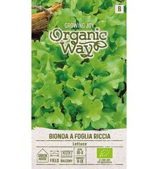 Кашпо для салата Bionda A Foglia Riccia Organic Way, 2.0 г цена и информация | Семена овощей, ягод | kaup24.ee