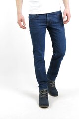 Meeste teksad Lee, sinine цена и информация | Мужские джинсы | kaup24.ee