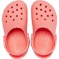 Laste jalanõud Crocs™ Kids' Classic Clog hind ja info | Laste sussid ja plätud | kaup24.ee