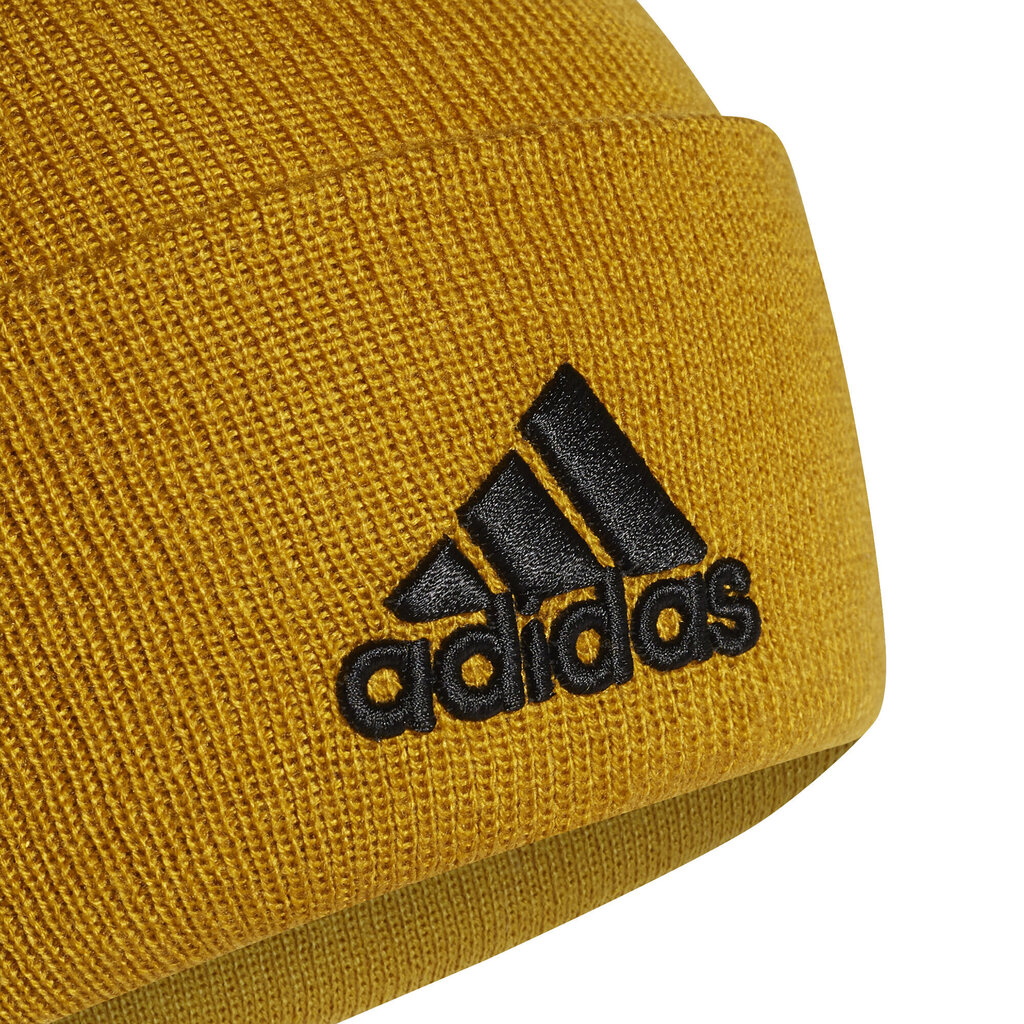 Müts Adidas Logo Woolie, kuldne hind ja info | Meeste sallid, mütsid ja kindad | kaup24.ee