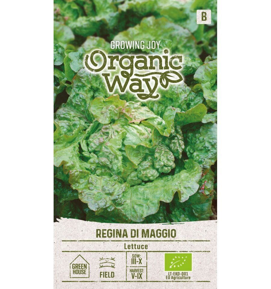 Aedsalat Regina Di Maggio Organic Way 1,0 g hind ja info | Köögivilja-, marjaseemned | kaup24.ee