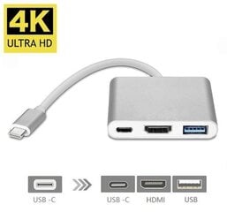 Адаптер Fusion USB-C Multiport  (3 in 1) - USB 3.0/HDMI/USB-C, серебряный цена и информация | Адаптеры и USB-hub | kaup24.ee