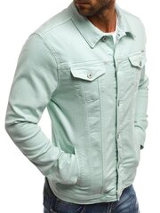Куртка для мужчин Spring, синяя цена и информация | Мужские куртки | kaup24.ee