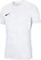 Meeste T-särk Nike Park VII BV6708 100, valge цена и информация | Meeste spordiriided | kaup24.ee