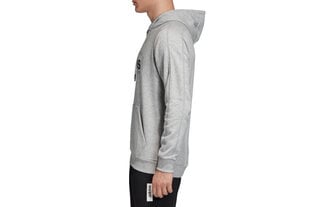 Джемпер для мужчин Adidas Brilliant Basics Hoodie EI4621 цена и информация | Мужские толстовки | kaup24.ee