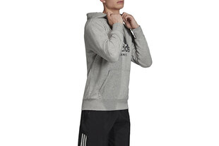 Джемпер для мужчин Adidas FJ3889, серый цена и информация | Мужские толстовки | kaup24.ee