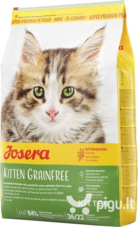 Josera kassipoegade kuivtoit Kitten Grain Free, 2 kg hind ja info | Kuivtoit kassidele | kaup24.ee