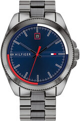 Tommy Hilfiger мужские часы Riley 1791687, серые цена и информация | Мужские часы | kaup24.ee