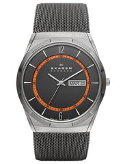 Часы мужские Skagen SKW6007 цена и информация | Мужские часы | kaup24.ee