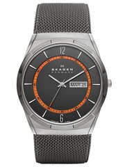 Meeste käekell Skagen SKW6007 цена и информация | Мужские часы | kaup24.ee