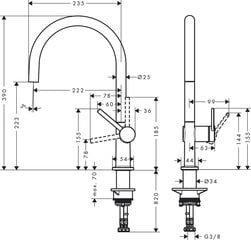 Hansgrohe Talis M54 220 köögisegisti, Matt Black, 72804670 hind ja info | Köögisegistid | kaup24.ee