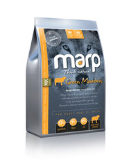 Сухой корм Marp Think Natural Green Mountains - Ягненок, 2 кг цена и информация |  Сухой корм для собак | kaup24.ee