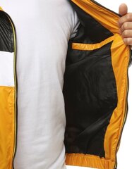 Мужская куртка Icepeak цена и информация | Мужские куртки | kaup24.ee