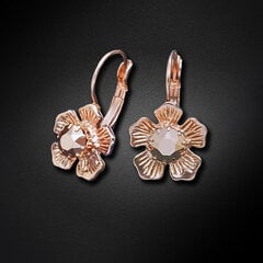 Серьги "Цветное Великолепие (Rose Gold)" с кристаллами Swarovski™ цена и информация | Серьги | kaup24.ee