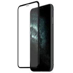 Riff 5D Защитное стекло для телефона на весь экран Apple iPhone XR / iPhone 11 Черное цена и информация | Защитные пленки для телефонов | kaup24.ee