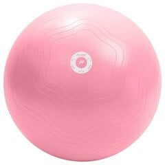 Гимнастический мяч Pure2Improve PP2I Joga Ball 65 см цена и информация | Гимнастические мячи | kaup24.ee