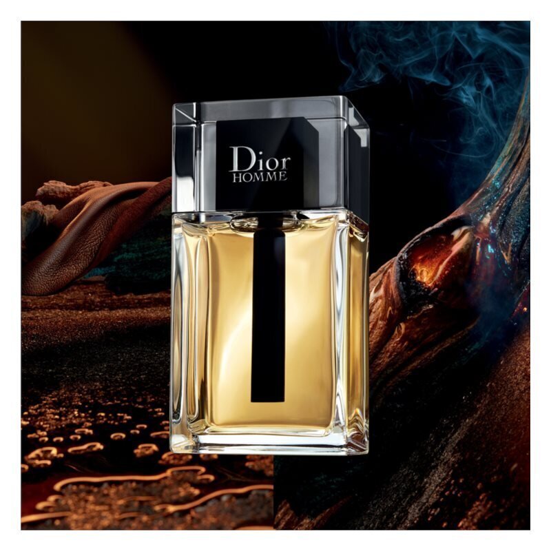 Tualettvesi Dior Dior Homme EDT meestele 100 ml цена и информация | Meeste parfüümid | kaup24.ee