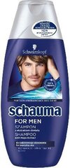 Šampoon meestele Schauma for Men, 250 ml цена и информация | Шампуни | kaup24.ee