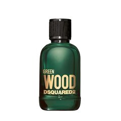 Pihustatav tualettvesi Dsquared 2 Green Wood, 100 ml hind ja info | Meeste parfüümid | kaup24.ee