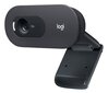 Logitech HD Webcam C505e Black hind ja info | Arvuti (WEB) kaamerad | kaup24.ee