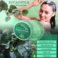 Tahke šampoon Eucalyptus Saules Fabrika, 60g цена и информация | Šampoonid | kaup24.ee