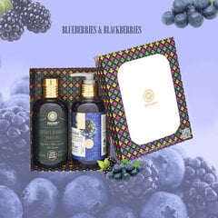 Kinkekomplekt (Dušigeel 200ml + Vedelseep käte 200ml) Blueberries-Blackberries Saules Fabrika hind ja info | Saules fabrika Kosmeetika, parfüümid | kaup24.ee