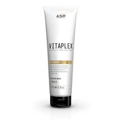 Šampoon taastav blondeeritud ja värvitud juustele VITAPLEX, 275ml hind ja info | Šampoonid | kaup24.ee