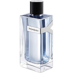 Tualettvesi Yves Saint Laurent Y EDT meestele 200 ml hind ja info | Meeste parfüümid | kaup24.ee