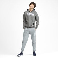 Meeste dressipluus Puma Athletics Hoody FL, hall цена и информация | Мужские толстовки | kaup24.ee