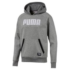 Meeste dressipluus Puma Athletics Hoody FL, hall цена и информация | Мужские толстовки | kaup24.ee