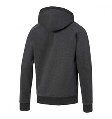 Meeste dressipluus Puma Athletics Hoody FL, hall цена и информация | Мужские толстовки | kaup24.ee