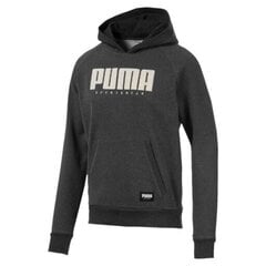 Meeste dressipluus Puma Athletics Hoody FL, hall цена и информация | Мужские толстовки | kaup24.ee