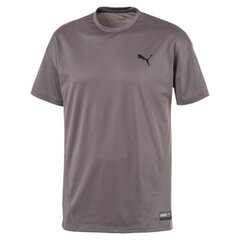 Meeste T-särk Puma A.C.E. SS Tee hind ja info | Meeste spordiriided | kaup24.ee