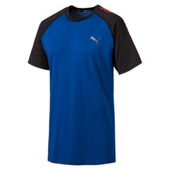 Meeste T-särk Puma Collective Raglan Tee hind ja info | Meeste spordiriided | kaup24.ee